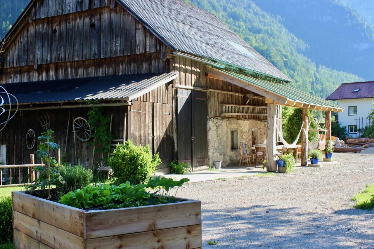 Chalet Am Sonnenhang Obertraun Exteriér fotografie